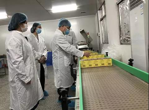 同心抗疫，确保质量！光华公司振隆厂表车间接受广药集团出产监督保险幼组工作督导