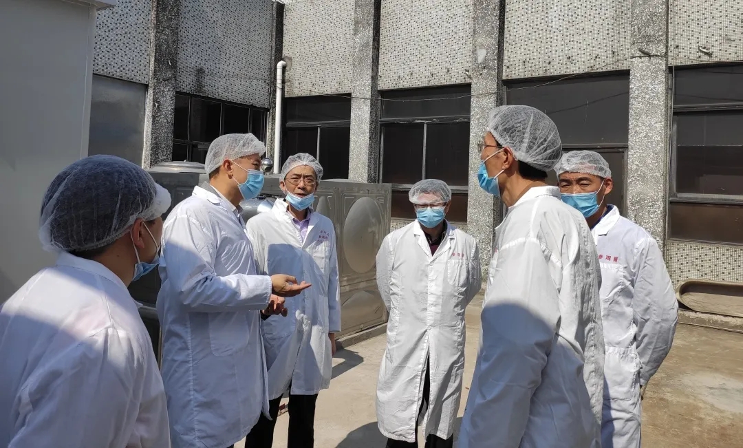 昭通市生态环境局海珠分辨局局长区劲国一行到光华公司查抄领导工作